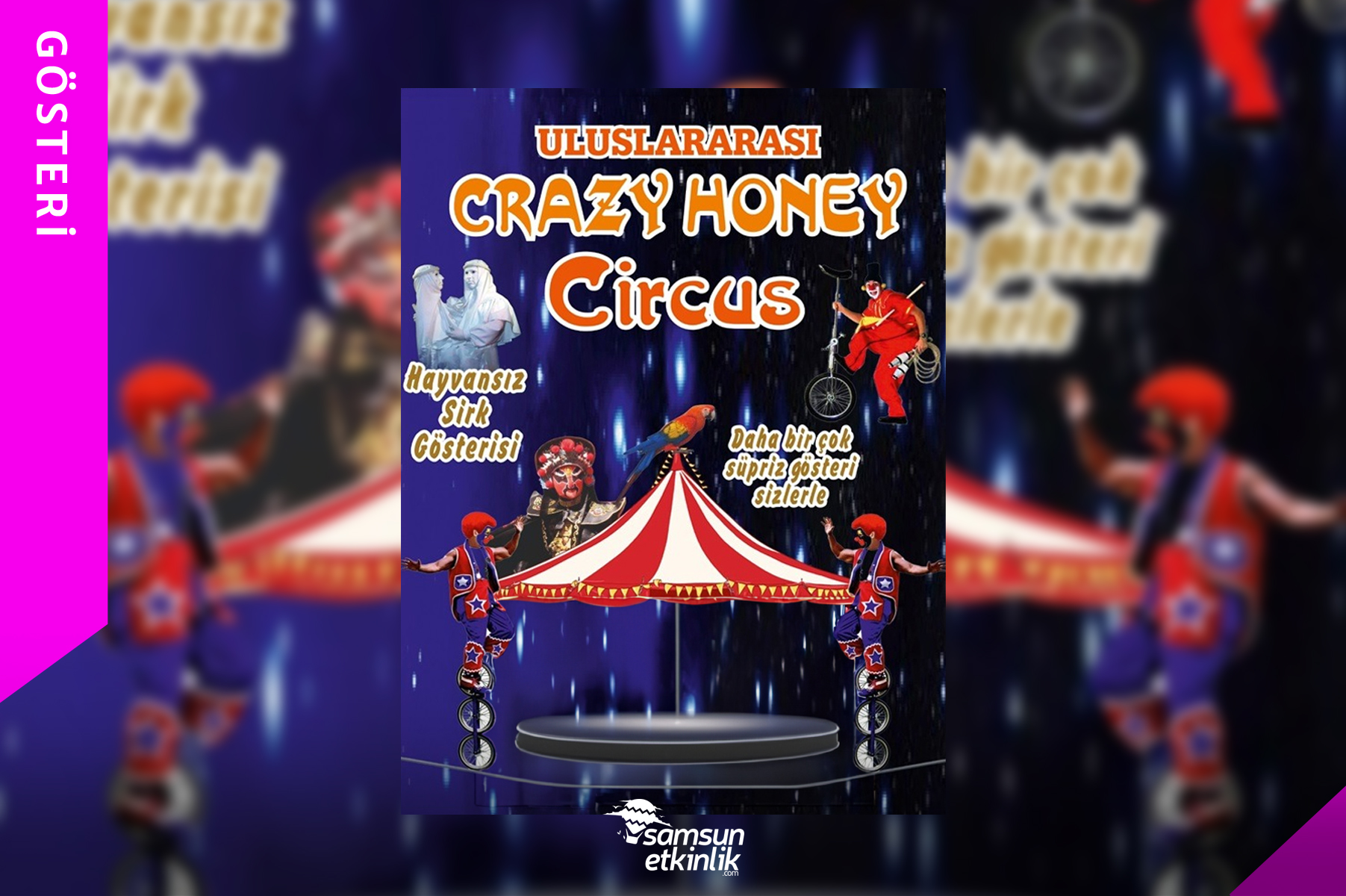 Crazy-Honey-Circus-Salon-Sirki.jpg