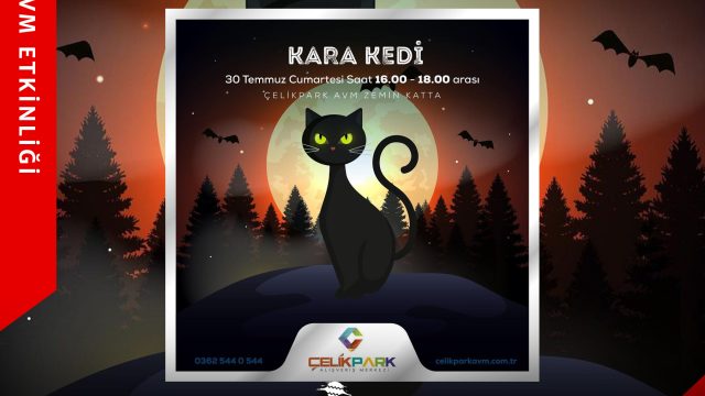 Kara Kedi Çelikpark AVM’de!