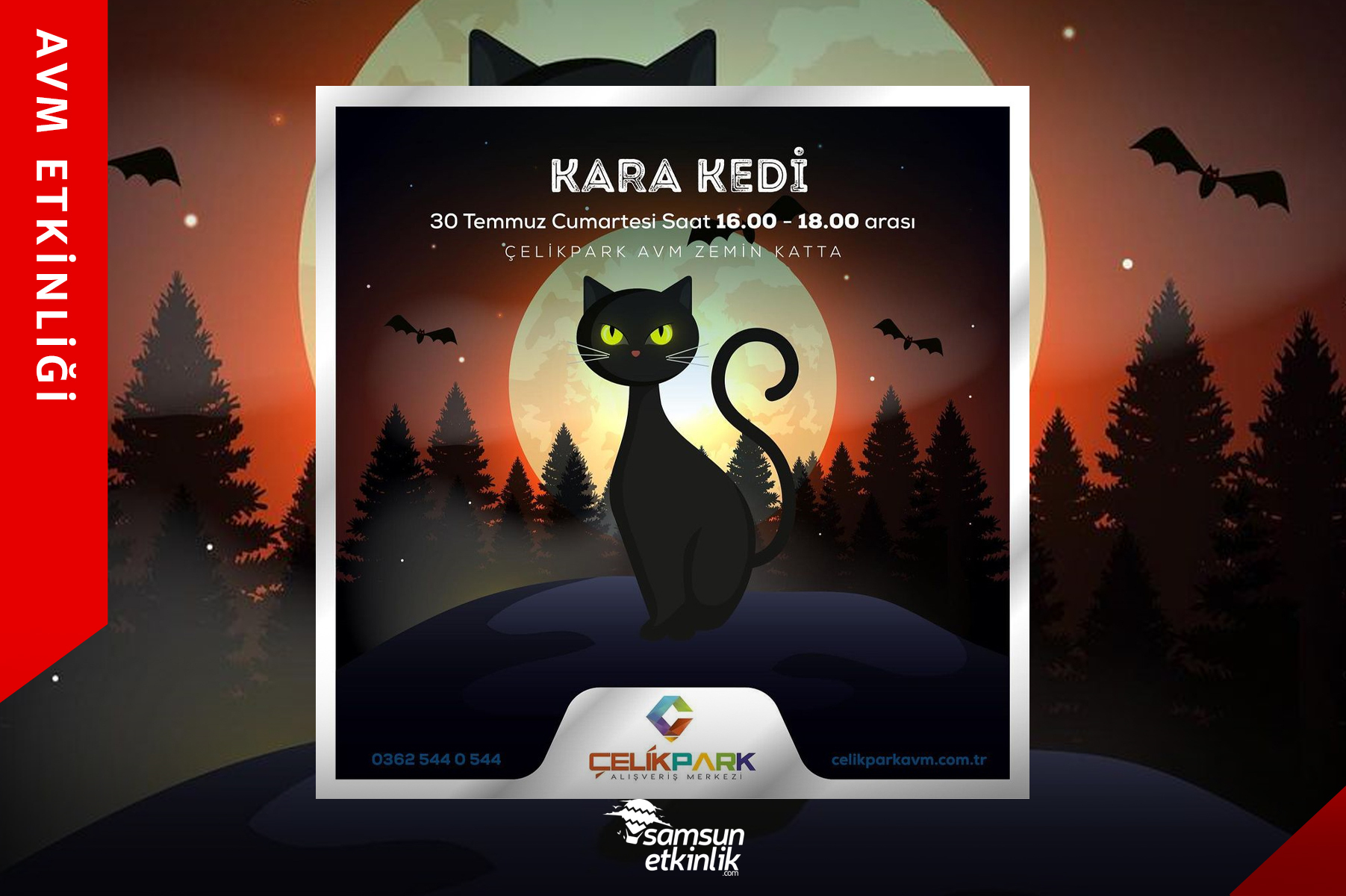 Kara-kedi.jpg